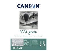 Canson "C à Grain A4 250g Mottled Grey Drawing & Sketching Paper Pad, 30 Sheets, Fine & Medium Grain Texture, Glued on Short Side, Ideal for Professional Artists