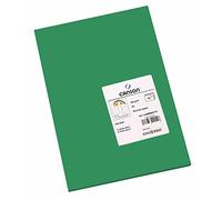 Canson Iris Vivaldi A4 185 GSM Smooth Colour Paper - Moss Green (Pack of 50 Sheets)
