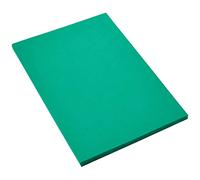 Canson Iris Vivaldi A4 Amazon Green Sheets Pen 50 Units