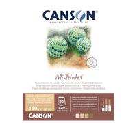 CANSON Mi-Teintes Coloured Drawing 160gsm 24x32cm Paper Pack, Double Sided: Honeycomb & Fine Grain, Pad Glued Short Side, 4 Brown Tones, 20 Sheets, Ideal for Professional Artists & Illustrators