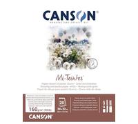 CANSON Mi-Teintes 160gsm 24x32cm Paper Double Sided White 20 Sheets | Drawing, Pastel Paper, Double Sided: Honeycomb & Fine Grain, Pad Glued Short Side, For Professional Artists & Illustrators