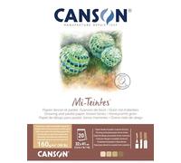 CANSON Mi-Teintes Coloured Drawing 160gsm 32x41cm Paper, Double Sided: Honeycomb & Fine Grain, Pad Glued Short Side, 4 Brown Tones, 20 Sheets, Ideal for Professional Artists & Illustrators