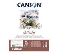 CANSON Mi-Teintes 160gsm 32x41cm Paper Double Sided White 20 Sheets | Drawing, Pastel Paper, Double Sided: Honeycomb & Fine Grain, Pad Glued Short Side, For Professional Artists & Illustrators