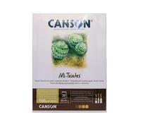 CANSON Mi-Teintes Coloured Drawing 160gsm 32x41cm Paper, Double Sided: Honeycomb & Fine Grain, Pad Glued Short Side, 4 Brown Tones, 20 Sheets, Ideal for Professional Artists & Illustrators