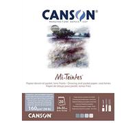 CANSON Mi-Teintes Coloured Drawing 160gsm 24x32cm Paper Pack, Double Sided: Honeycomb & Fine Grain, Pad Glued Short Side, 4 Cool Tones, 20 Sheets, Ideal for Professional Artists & Illustrators