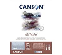 CANSON Mi-Teintes Coloured Drawing 160gsm 24x32cm Paper Pack, Double Sided: Honeycomb & Fine Grain, Pad Glued Short Side, 4 Cool Tones, 20 Sheets, Ideal for Professional Artists & Illustrators