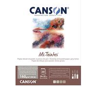 CANSON Mi-Teintes Coloured Drawing 160gsm 24x32cm Paper Pack, Double Sided: Honeycomb & Fine Grain, Pad Glued Short Side, 4 Grey Tones, 20 Sheets, For Professional Artists & Illustrators