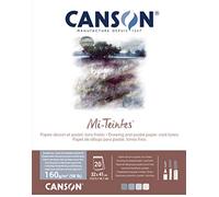 CANSON Mi-Teintes Coloured Drawing 160gsm 32x41cm Paper, Double Sided: Honeycomb & Fine Grain, Pad Glued Short Side, 4 Grey/Bue Tones, 20 Sheets, Ideal for Professional Artists & Illustrators