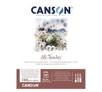 CANSON Mi-Teintes Coloured Drawing 160gsm 32x41cm Paper Pad, Double Sided: Honeycomb & Fine Grain, Pad Glued Short Side, White, 20 Sheets, Ideal for Professional Artists & Illustrators