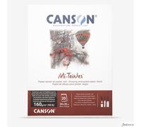 Canson : Mi-Teintes : Pastel Pad : Gummed Pad : 24x32cm (Apx.9x13in) : 20 She...