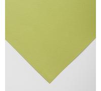 Canson : Mi-Teintes : Pastel Paper : 160gsm : 55x75cm : Light Green