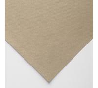 Canson : Mi-Teintes : Pastel Paper : 160gsm : 55x75cm : Sand/Cachou