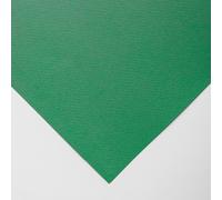 Canson : Mi-Teintes : Pastel Paper : 160gsm : 55x75cm : Viridian