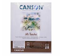 CANSON Mi-Teintes Coloured Drawing 160gsm 32x41cm Paper Pad, Double Sided: Honeycomb & Fine Grain, Pad Glued Short Side, White, 20 Sheets, Ideal for Professional Artists & Illustrators