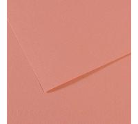 Canson Pack of 25 Sheets 21 x 29.7 Mi-Teintes 60% Bee 160 g (352), Dark Pink, 21x29,2