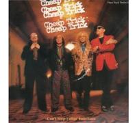 Can't Stop Fallin' Into Love