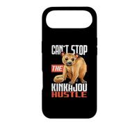 Can't Stop The Kinkajou Hustle Mammal Zoologist Zoology Case for iPhone Air