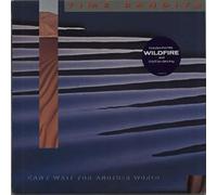 Can't wait for another world (1987) [VINYL]