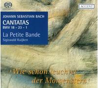 Cantatas For The Complete Liturgical Year Vol. 6 (Thornhill)