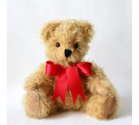 Canterbury Bears Gregory Jr