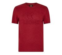 Canterbury Mens Monument 2025 British & Irish Lions T-ShirtS Red Dahlia GT34623