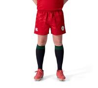 Canterbury Men's My Name's Doddie Foundation Rugby Short, Flag Red, XXL