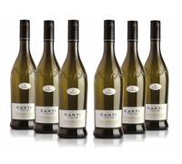 Canti - Prosecco D.O.C. stelvin Sparkling Extra Dry Wine, Italian Glera Grape Variety from Veneto, Fruity and Floral Taste, 6x750 ml