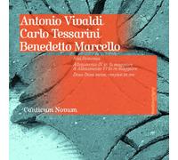 Canticum Novum - Venetian Motets