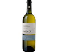 Cantina di Negrar Soave Annata DOC 2023, Veneto