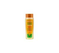 Cantu Avocado Hydrating Shampoo 400ml