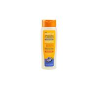 Cantu Flaxseed Smoothing Shampoo 14oz