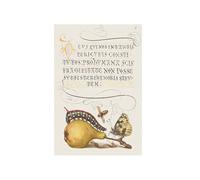 canva print Fly, Caterpillar, Pear, and Centipede from Mira Calligraphiae Monumenta or The Model Book of Calligraphy (1561-1596) by Georg Bocskay and Joris Hoefnagel. modern wall art 50X70cm Unframed