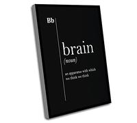 Canvas Abstract Wall Art Large,Define Wall Decoration,Brain Definition Print Medical Quotes Medical Humor Black Dorm Wall Art Coworker Dorm Decor Student Gift Dictionary Art,12x16In UnFramed Wall Art