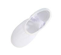 Canvas Ballet Dance Shoes for Girls, Soft Split-Sole Yoga Shoes, Soft and Comfortable Pointe Shoes with Elastic Band, ink Dance Slippers, Gymnastics Practice Shoes, Dance (White, 13 Little Child)