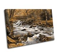 Canvas Culture - Woodland Stream Landscape Canvas Art Print Box Framed Picture 40 Orange 90 x 60cm