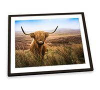 Canvas Geeks Scottish Highland Cow Brown FRAMED ART PRINT Picture Poster Artwork - Black Frame - Size A1