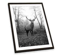 Canvas Geeks Stag Deer Highlands B&W FRAMED ART PRINT Picture Portrait Poster Artwork - Black Frame - Size A4