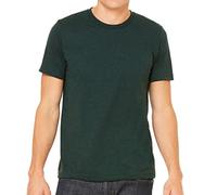 Canvas Mens Triblend Crew Neck Plain Short Sleeve T-Shirt (L) (Emerald Triblend)