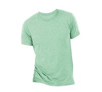 Canvas Mens Triblend Crew Neck Plain Short Sleeve T-Shirt (L) (Mint Triblend)
