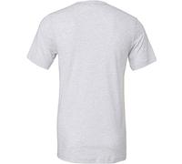 Canvas Mens Triblend Crew Neck Plain Short Sleeve T-Shirt (L) (Red Triblend)