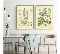 Canvas Painting Spices Herbs Print Vintage Botanical Poster Parsley Sage Rosemary Culinary Wall Art Picture Kitchen Decor 60x85cm-2Pcs Frameless