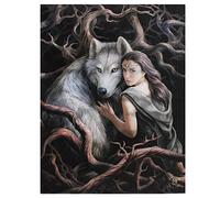 Canvas Plaque | Soul Bond by Anne Stokes | H25cm X W19cm X D1.5cm | Pack of 1