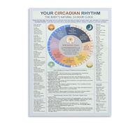 Canvas Poster Circadian Rhythm Body Clock Chart Sleep Cycle Guide Wall Art Educational Decor for Bedroom Home Office(Unframed,12x18inch(30x45cm))