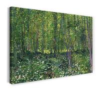 Canvas Print (120x80cm): Vincent Van Gogh - Trees and Undergrowth
