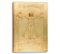 Canvas Print (60x80cm): Leonardo da Vinci - Vitruvian Man