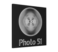 Canvas Print Only Photo 51 X-ray Diffraction Of DNA By Rosalind Franklin, Raymond Gosling Nature Wall Art Poster Room Decor 18x18 inch No Frame