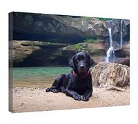 Canvas Prints Wall Art Wooden Framed Black Labrador - Strecthed and Framed Canvas Wrap Ready to Hang , 12 x 16 Inches