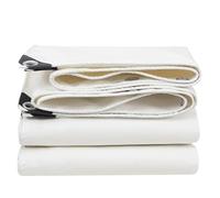 Canvas Tarp 1.2m x 1.5m 1.5m x 3m 1.8m x 1.8m 2m x 3m 3m x 4m - White Heavy Duty Waterproof Tarpaulin with Eyelets, Multipurpose Tarp cover for Garden Furniture, Ground Sheets Camping (Size : 2x4m(6.