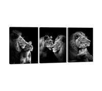 Canvas Trend Lions Wall Art Set of 3 Black and White Animals Wall Decor Modern Painting Prints Artwork Living Room Kitchens Decor Wooden Framed Ready to Hang-12 W x16 Hx3pcs