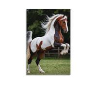 Canvas Wall Art 12"x18"-A Pinto Horse Rearing on A Grassy Field with Its Mane And Tail Flowing -Home Decor Paintings for Home, Bedroom（Unframed ）